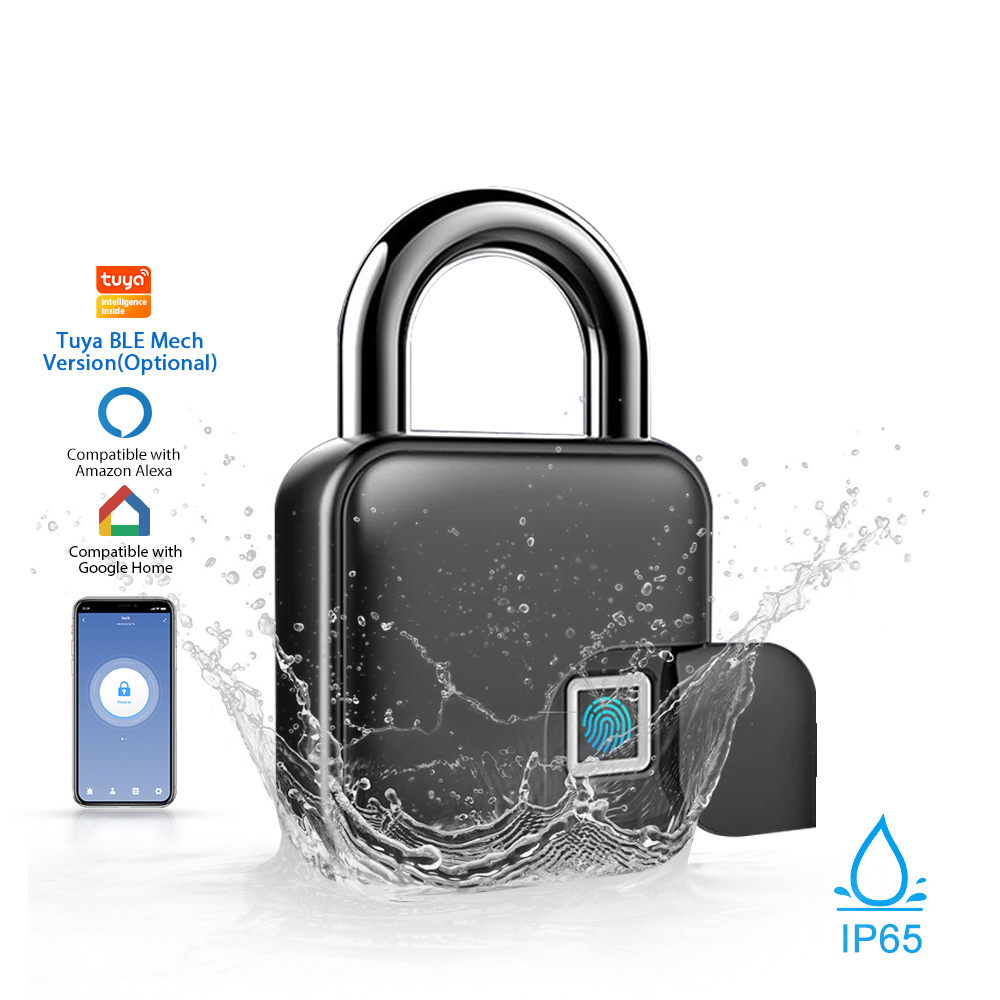 1 L3 - الصورة 1