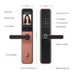 ⁦GL-F1⁩ - الصورة ⁦5⁩