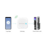 ⁦GL-ZW BS⁩ - الصورة ⁦5⁩